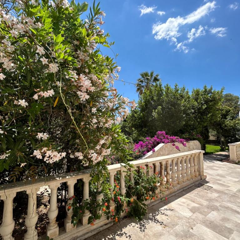 Villa Cavalieri Country Hotel - Suite con Vista Giardino - 4