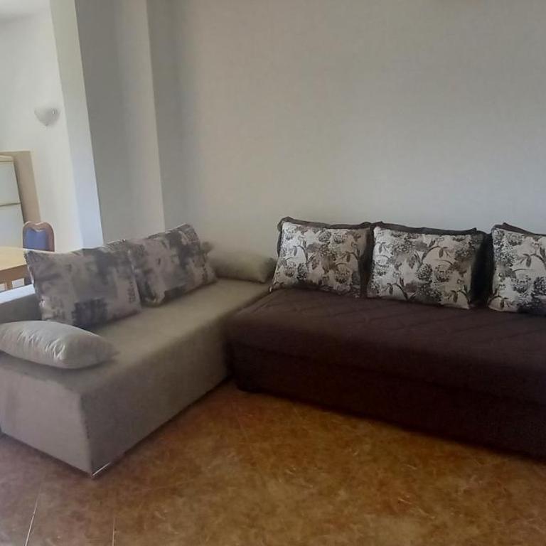 Apartmani Stojanović - Apartman s 1 Spavaćom Sobom i Terasom - 13