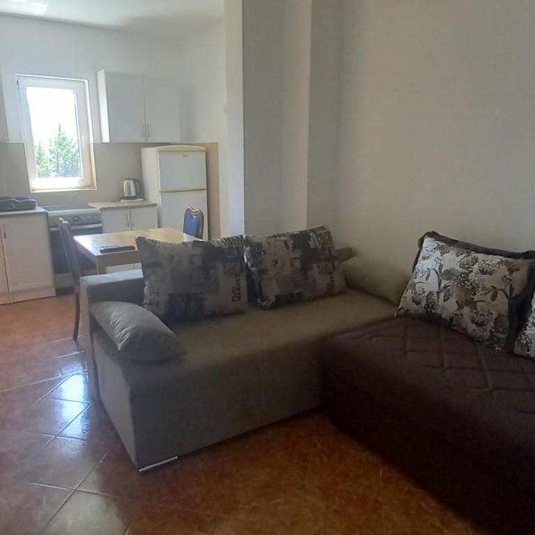 Apartmani Stojanović - Apartman s 1 Spavaćom Sobom i Terasom - 14