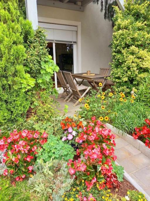 Gemütliche Familienwohnung - Apartment mit Gartenblick - 22
