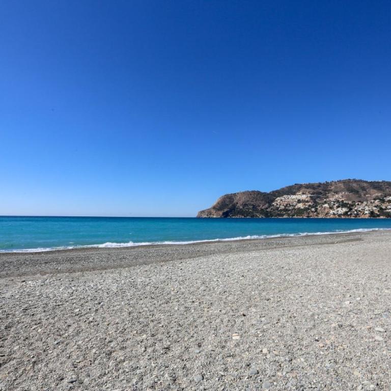 LAS FLORES - Three-Bedroom Apartment - 12