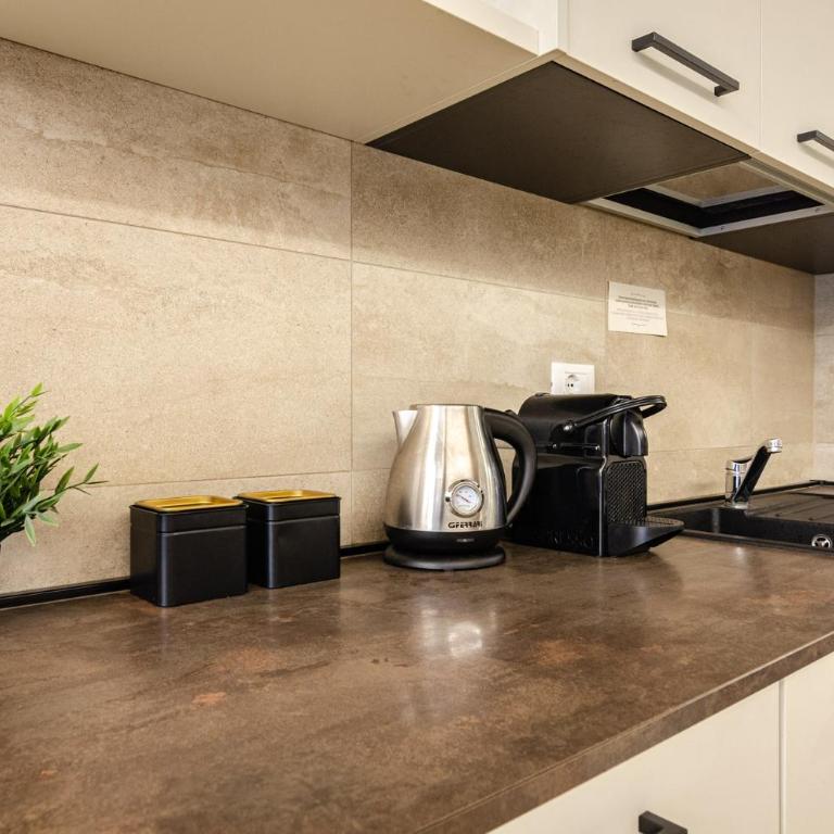 Goito Luxury Apartment, in the Historical Center - Appartamento con 1 Camera da Letto - 9