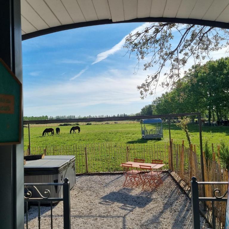 Domaine de la Tapie de Bouchet - en Camargue - Mobile Home - 16