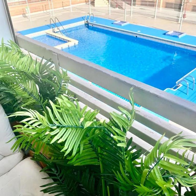 Torrevieja modern apartment with swimming pool - Apartamento de 1 dormitorio - 1