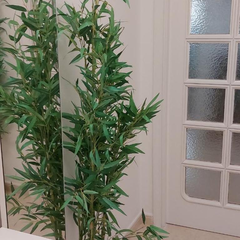 Selene - Two-Bedroom Apartment - 8