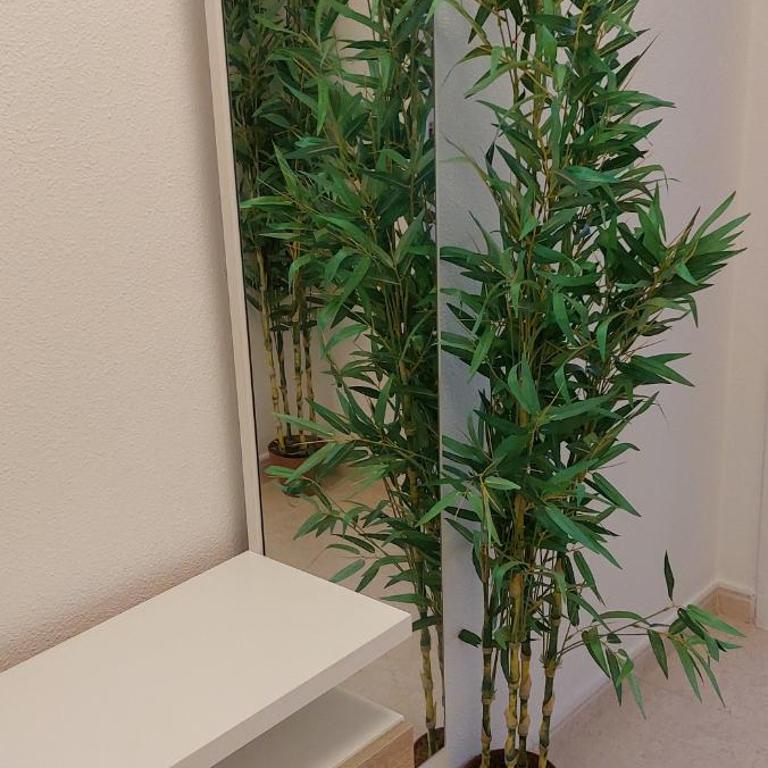 Selene - Two-Bedroom Apartment - 32