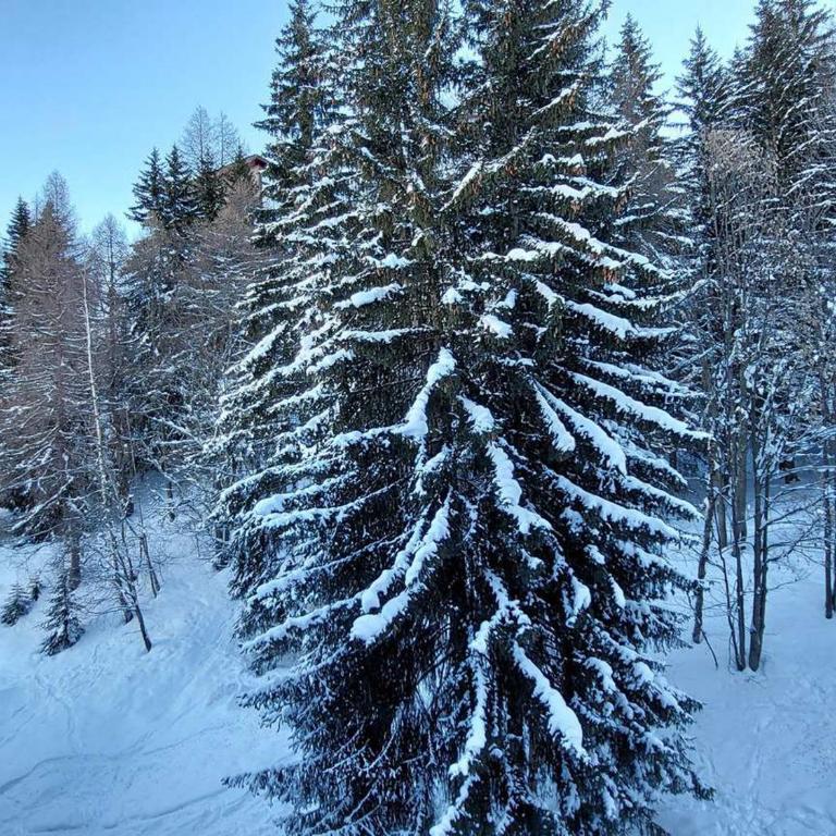 Studio cosy pour 2, proche pistes et commerces avec Wifi, parking Arc 1800 - FR-1-411-774 - Studio - 2