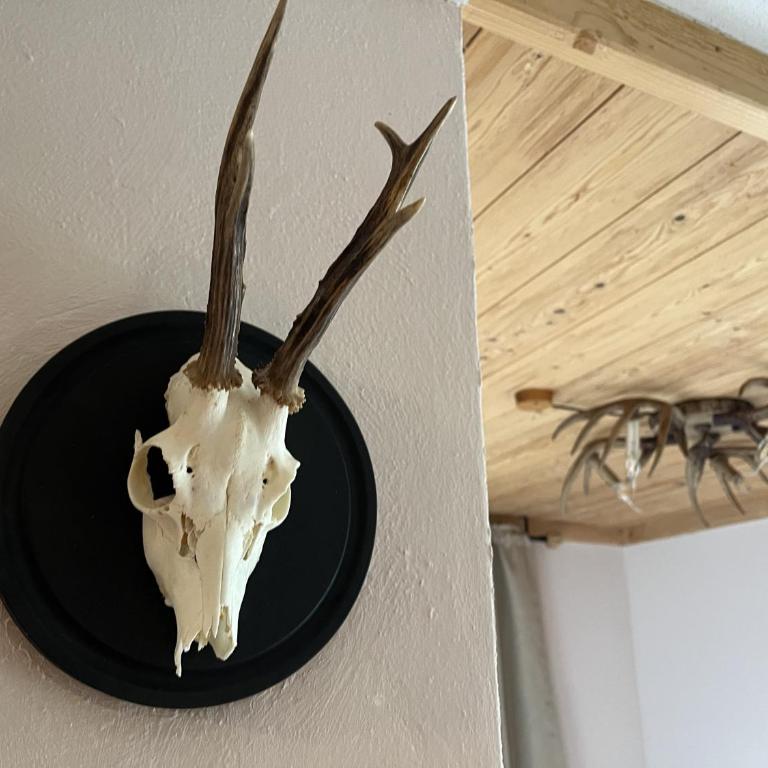 Appartement Juri - Ferienhaus - 46