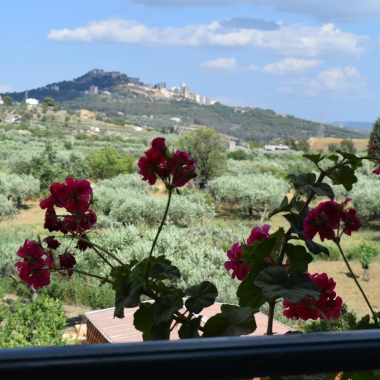 Casa country - Casa con 2 Camere da Letto - 11