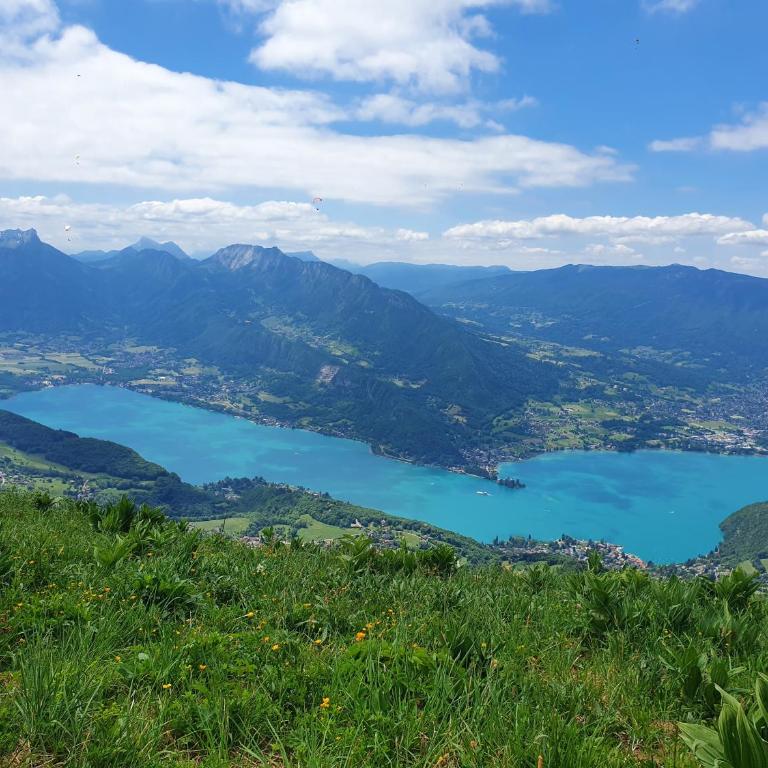 hyper centre Annecy et bord du lac - Apartment mit 1 Schlafzimmer - 25