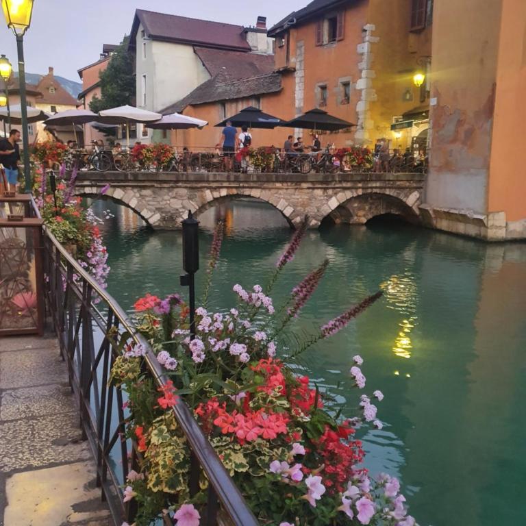 hyper centre Annecy et bord du lac - Apartment mit 1 Schlafzimmer - 23