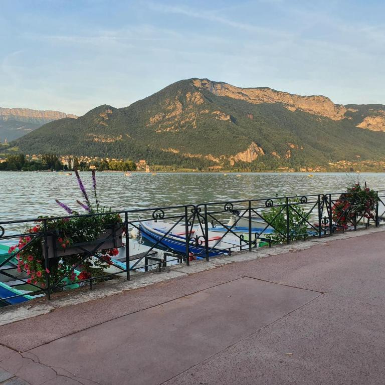 hyper centre Annecy et bord du lac - Apartment mit 1 Schlafzimmer - 21