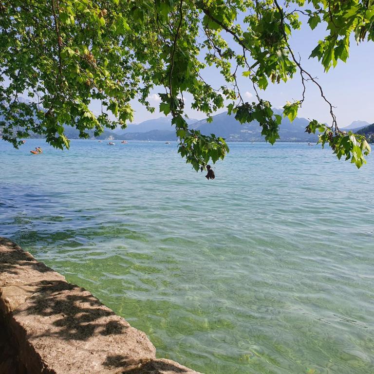 hyper centre Annecy et bord du lac - Apartment mit 1 Schlafzimmer - 19