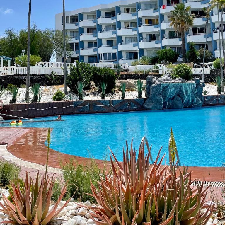 Estrella - Apartamento de 1 dormitorio - 25