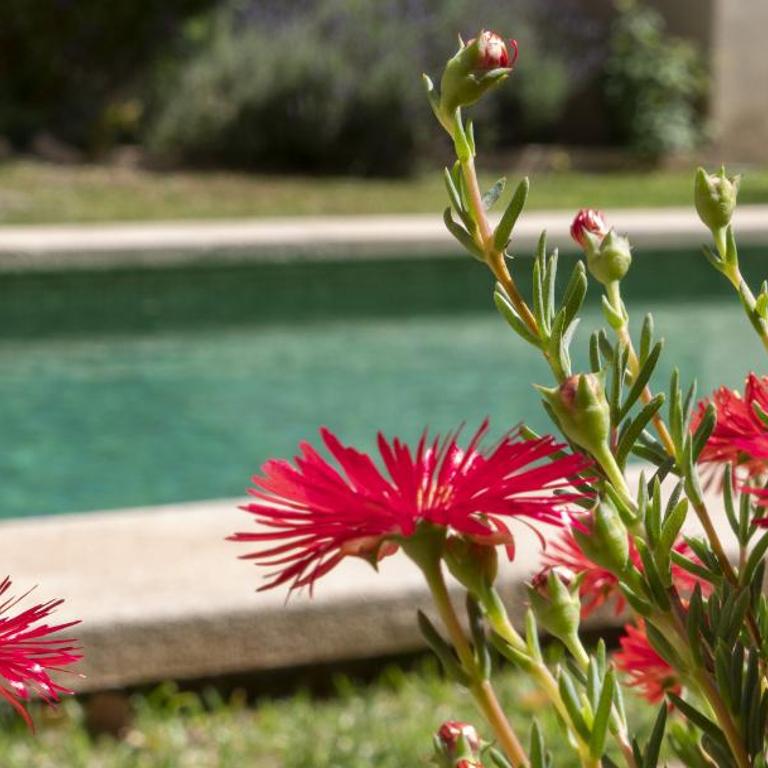 Villa Palma 3 - Chalet - 15