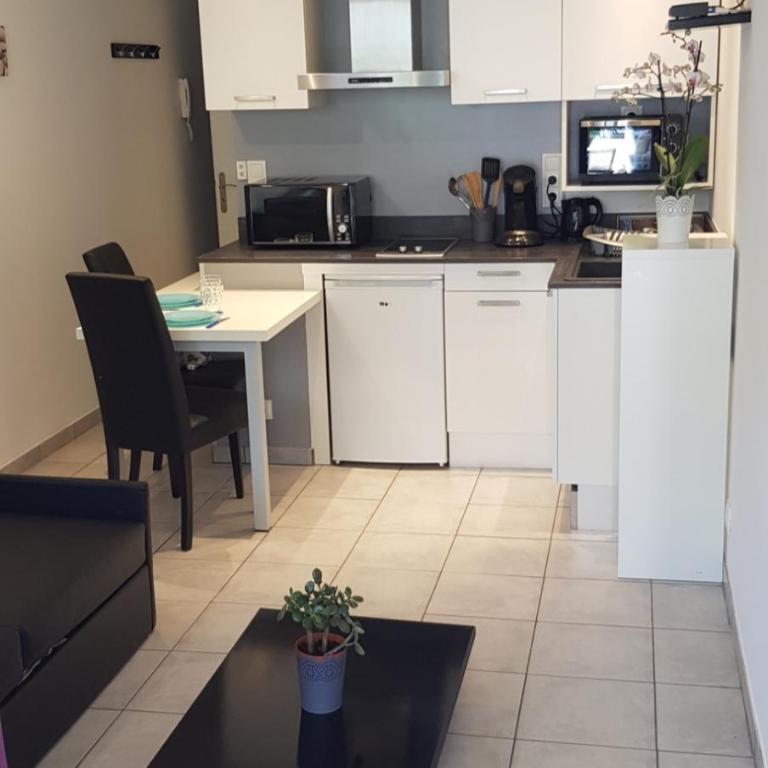 Charmant studio 2* rdc+ terrasse & parking privé - Appartement 1 Chambre - 1