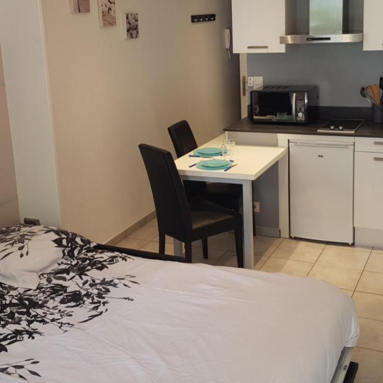 Charmant studio 2* rdc+ terrasse & parking privé - Appartement 1 Chambre - 3