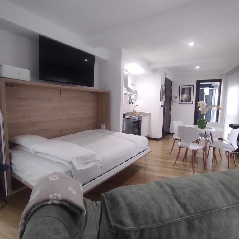 1B. Estudio muy luminoso en el corazón del tapeo. - Apartamento de 1 dormitorio - 11
