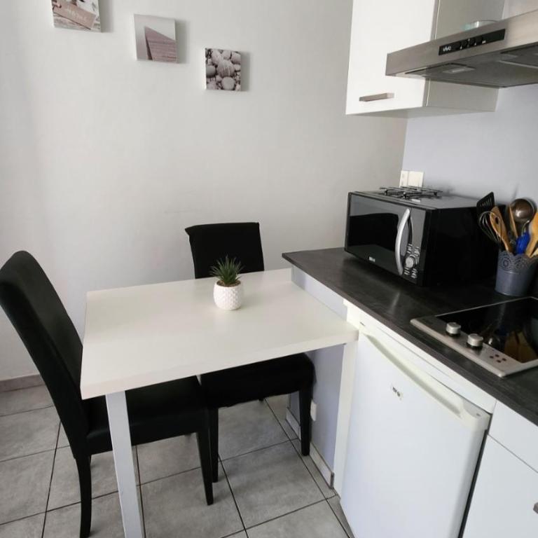 Charmant studio 2* rdc+ terrasse & parking privé - Appartement 1 Chambre - 6