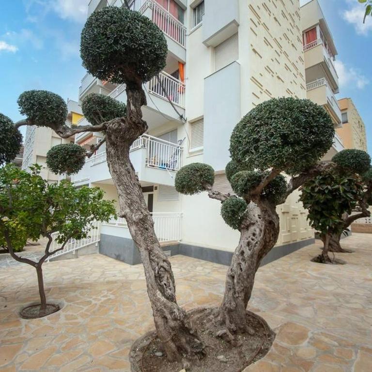 Apartamento Bro Mar - One-Bedroom Apartment - 20