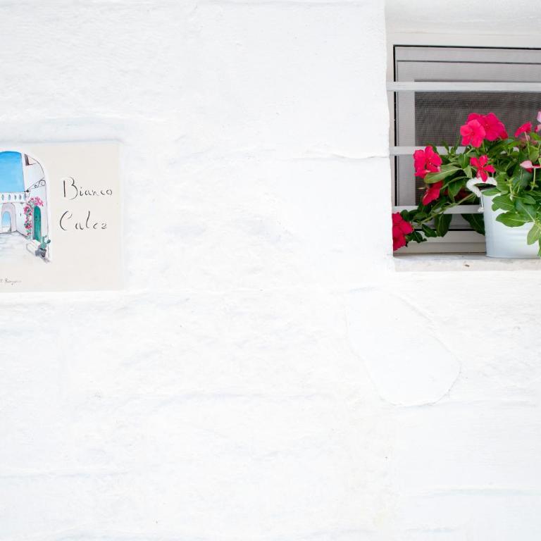 Bianco Calce - Ostuni - Casa con 1 Camera da Letto - 23