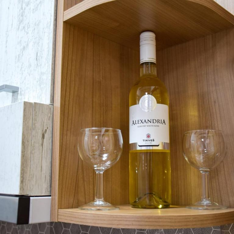 NiTex Studio - Apartman sa 1 Spavaćom Sobom - 6