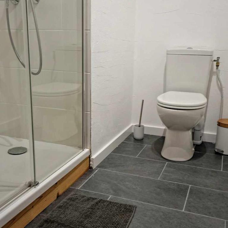 LA GRANGE SAVOYARDE-Spa-Piscine-Proche lac-Charme-Détente- 3 Etoiles - Appartement 1 Chambre - 6