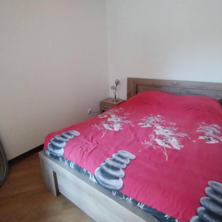 La terrasse de Gassendi - Appartement 1 Chambre - 5