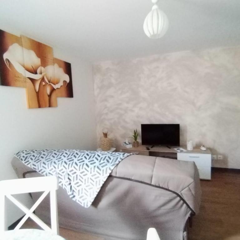 La terrasse de Gassendi - Appartement 1 Chambre - 2