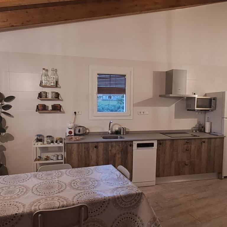 Apartamento Soniando en Guara - Appartamento con 2 Camere da Letto - 14