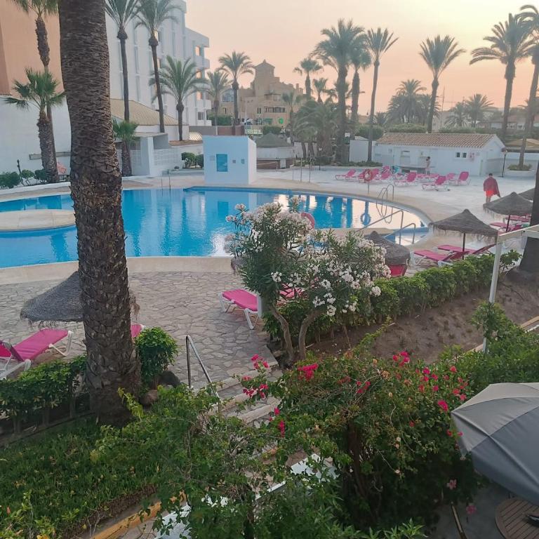 Apartamento Los Mangos - One-Bedroom Apartment - 50