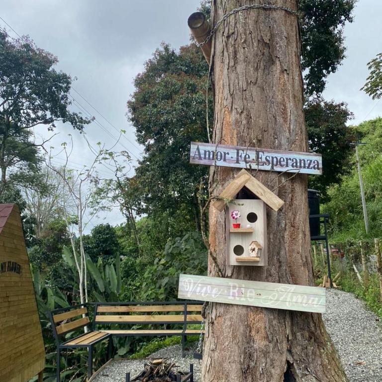 Glamping Villa Gilma - Double Room with Mountain View - 9