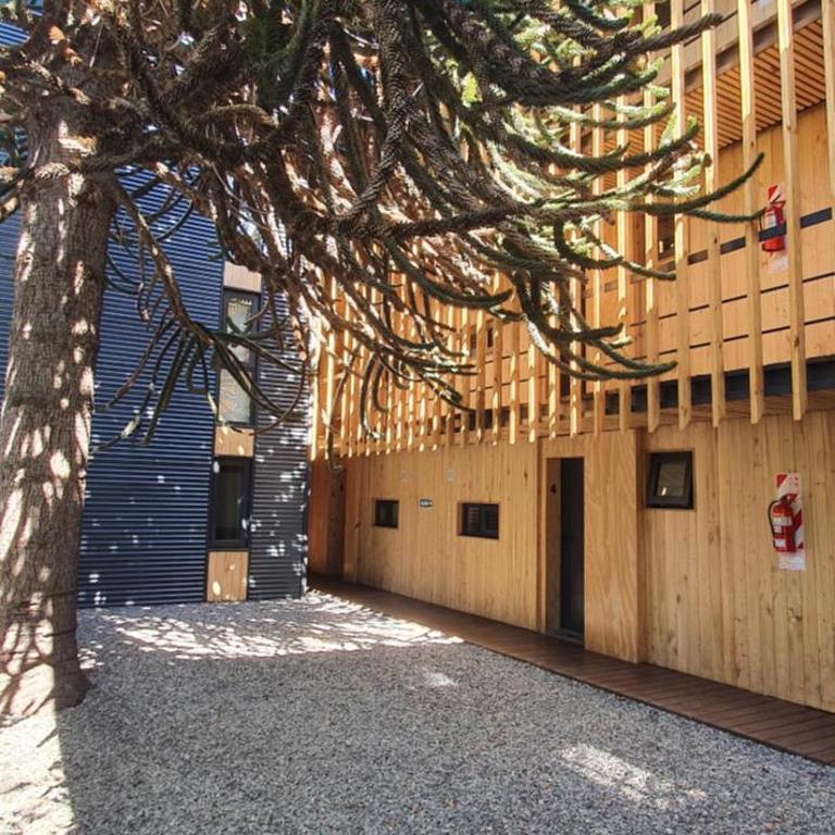 Hermoso monoambiente de diseño único, con patio, en el centro de SMA. 4v5 - Apartamento de 1 dormitorio - 16