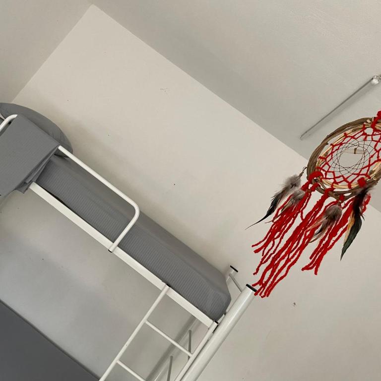 Vive Alegria Hostel - Bunk Bed in Male Dormitory Room - 5