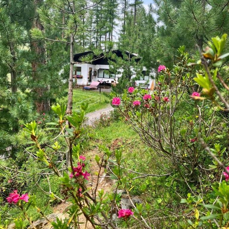 Apartment GletscherBERGblick - Apartment mit Blick auf die Berge - 54