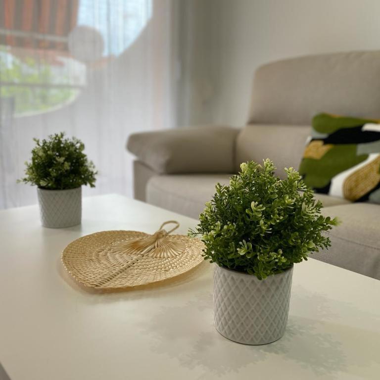 Apartamento pegado al mar . - Apartamento de 1 dormitorio - 32