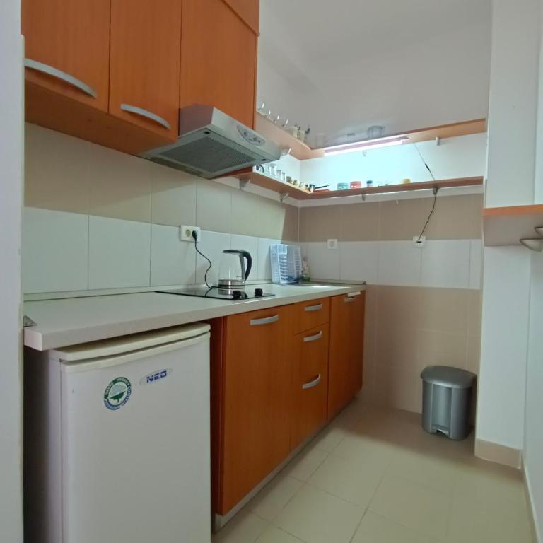 Center Studio - Apartman sa 1 Spavaćom Sobom - 14
