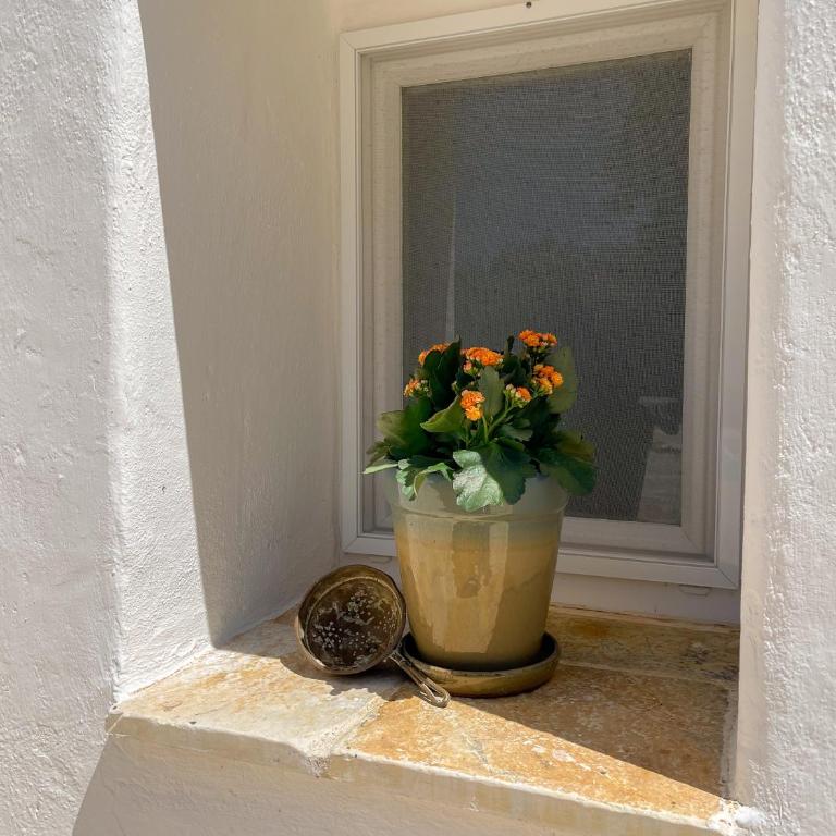Ostuni Città Bianca - IL Trullo Bianco Coccio View-Pool-Relax - Two-Bedroom Villa - 46