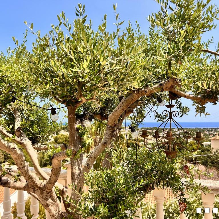 VH CostaBlanca - ZEN - Villa de 2 dormitorios - 40