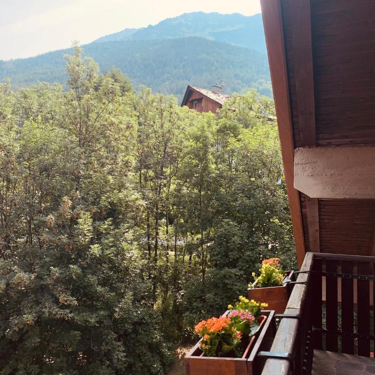 mansardacourmayeur - Appartamento con 1 Camera da Letto - 12
