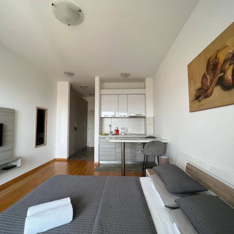 Paradise Apartments Becici - Studio with Sea View - 3
