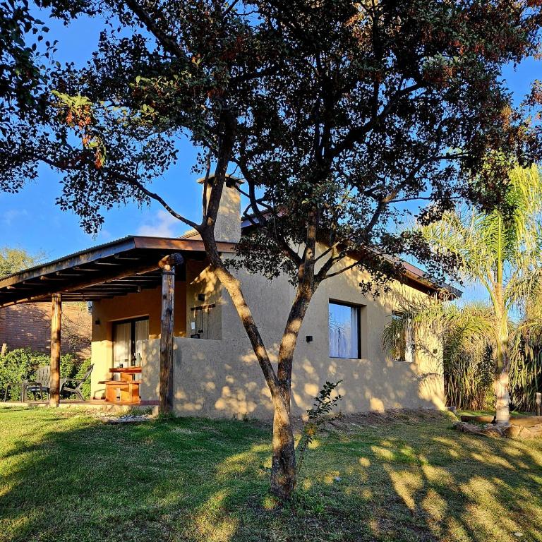 Cabañas Altos de San Blas - Casa con 1 dormitorio - 2