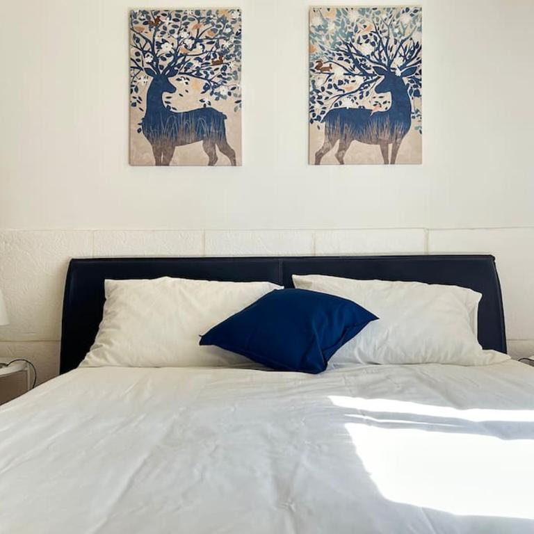 Appartamento Cavalieri - Appartamento con 1 Camera da Letto - 1