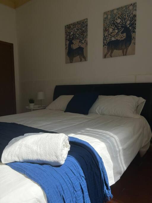 Appartamento Cavalieri - Appartamento con 1 Camera da Letto - 5