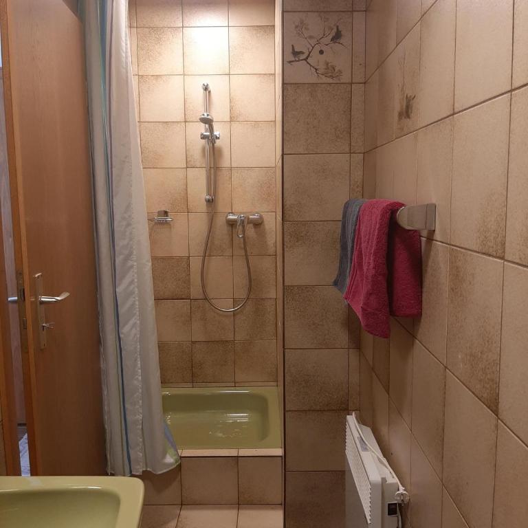 Ferienwohnungen Pollhammer - Apartment mit 2 Schlafzimmern und Dusche - 8