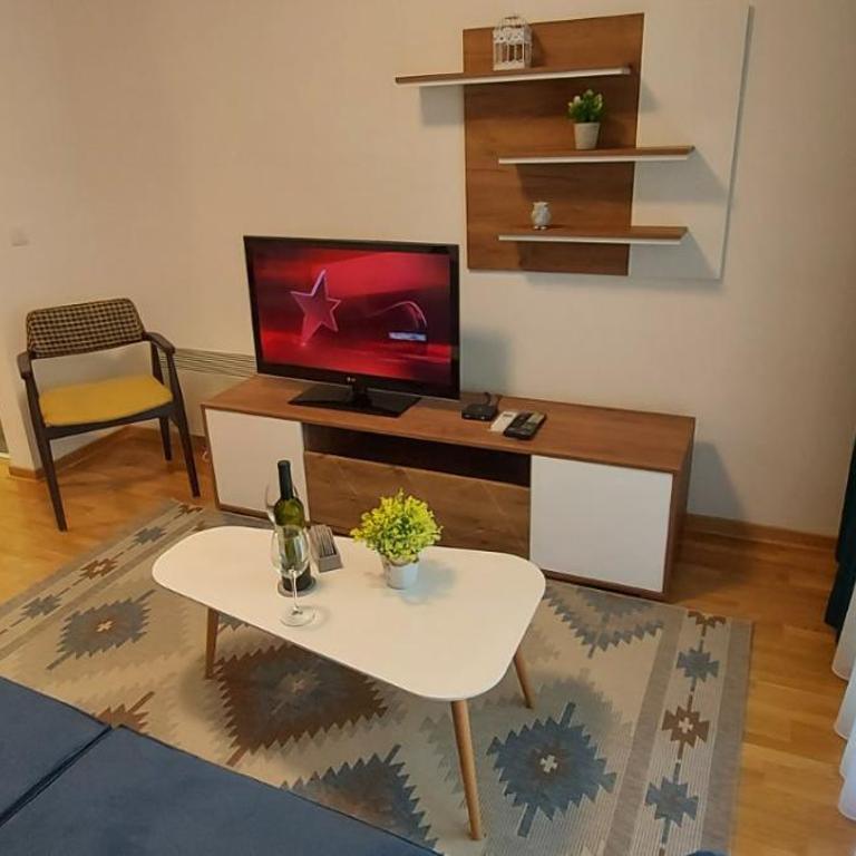 Apartman SANA & Free GARAŽA - Apartman sa 1 Spavaćom Sobom - 11