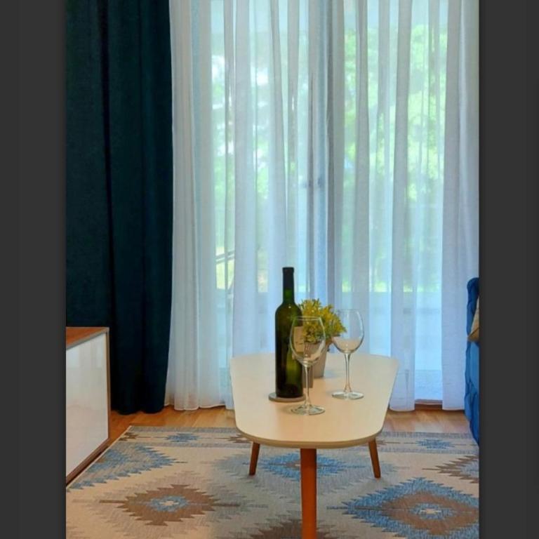 Apartman SANA & Free GARAŽA - Apartman sa 1 Spavaćom Sobom - 22