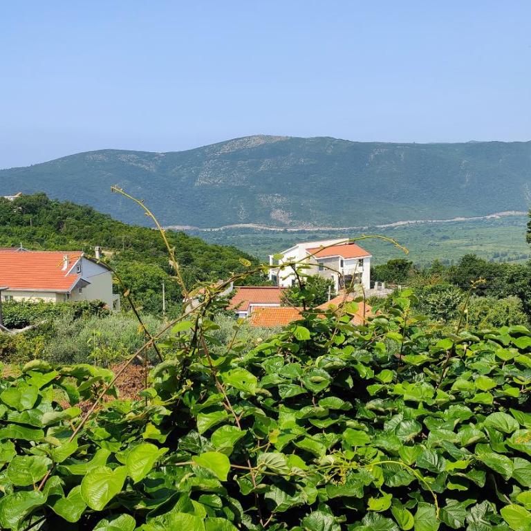 Apartmani Venecija - Apartman sa 1 Spavaćom Sobom - 16