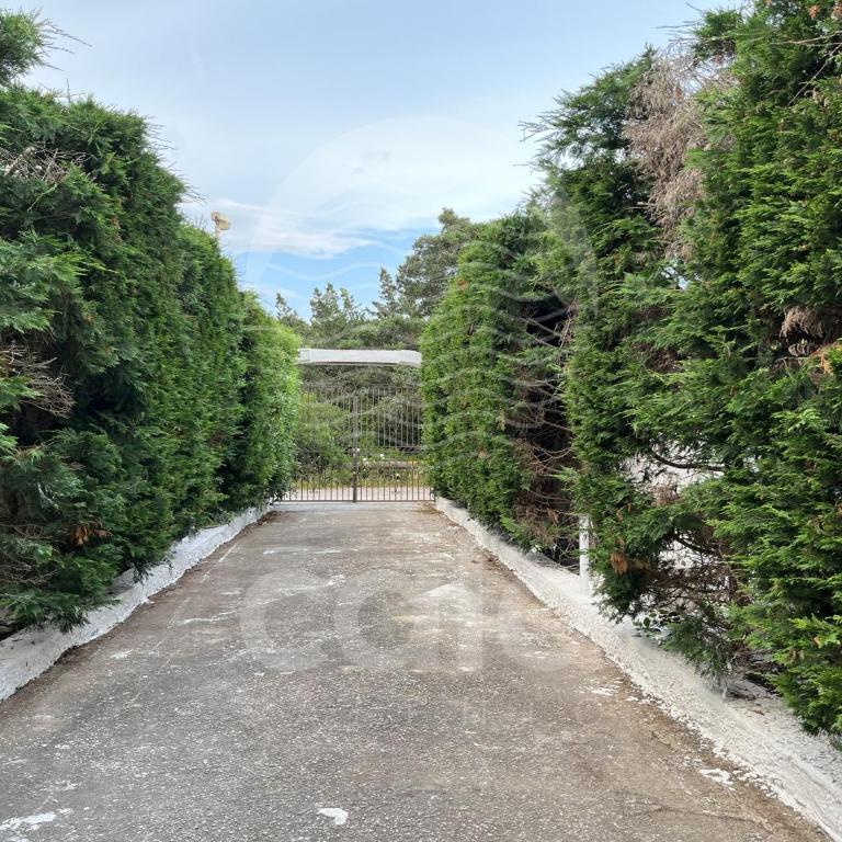 Villa Areia - Spiaggia a 10m By Cala Salento - Villa with Garden View - 72