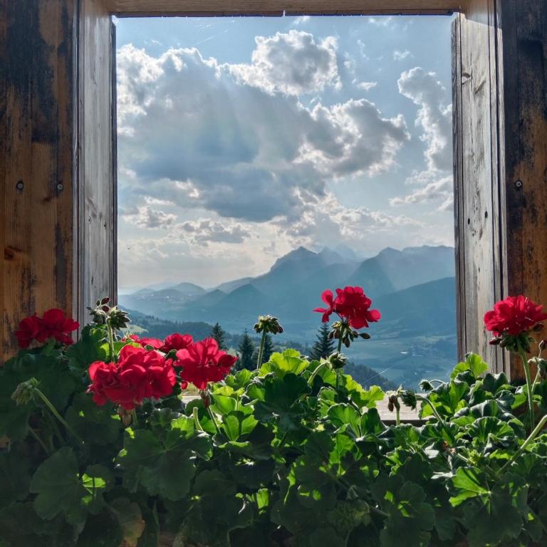 Appartement Haus Tanja - Apartment mit Blick auf die Berge - 20